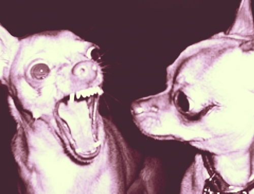 Terapia de pareja: emociones, pensamientos y comportamientos